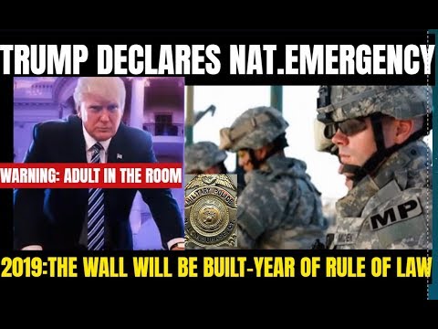 Trump declares state of emergency 2019